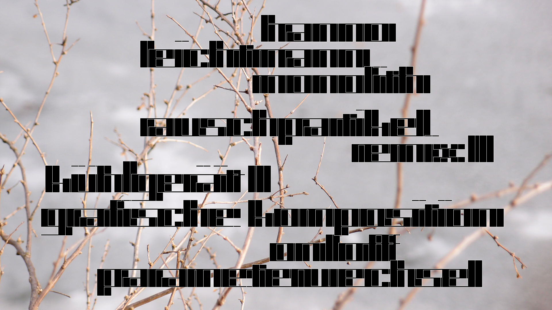 2021-03-10 Hanno Leichtmann - 1996 Monolith (rauschpartikel Remix 1 - 3)